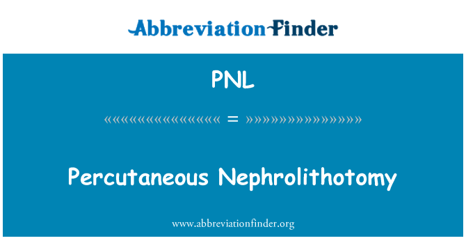 PNL: Percutaneous Nephrolithotomy