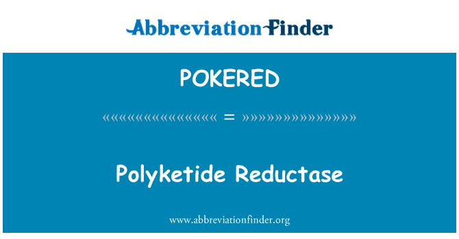 POKERED: Polyketide reduktázy