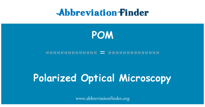 POM: 偏光的顯微鏡