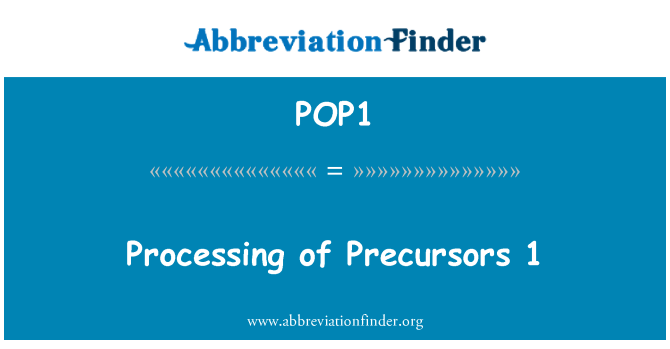 POP1: Processament dels Precursors 1