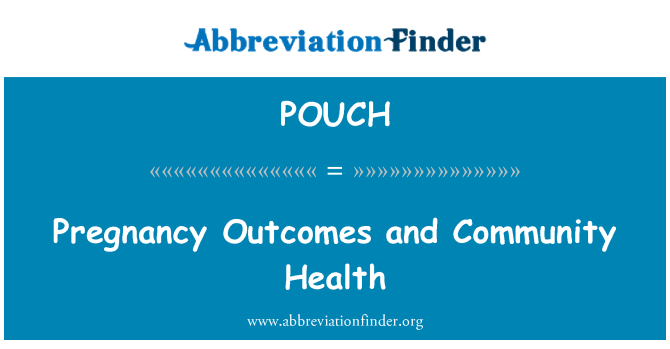 POUCH: 妊娠結局與社區衛生