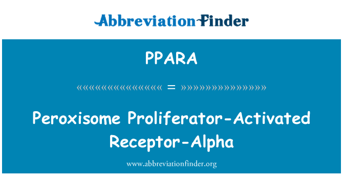 PPARA: Peroxisome Proliferator 활성화 수용 체-알파