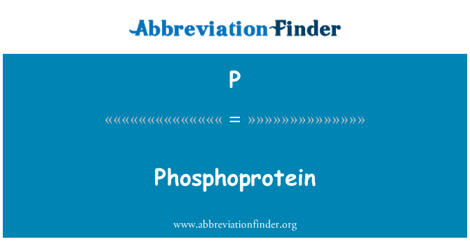 P: Phosphoprotein
