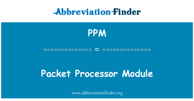 PPM: Module processeur Packet