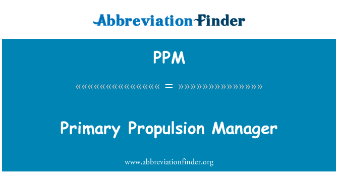 PPM: 主推进经理