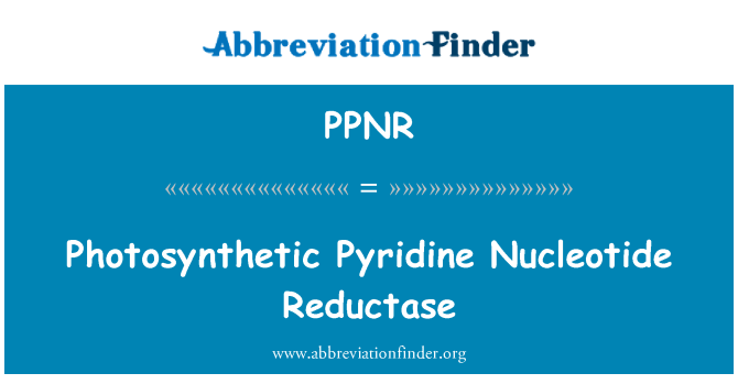 PPNR: Fotosyntetizující pyridinových nukleotidů reduktázy