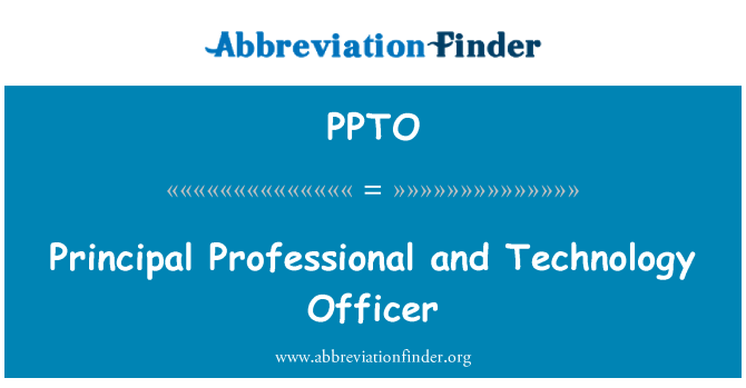 PPTO: המנהל המקצועי, קצין טכנולוגיה