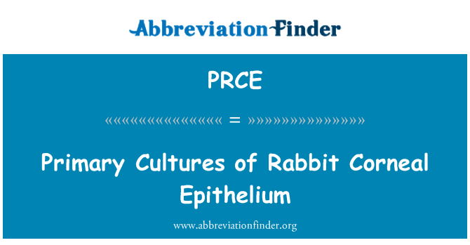 PRCE: Primary Cultures of Rabbit Corneal Epithelium