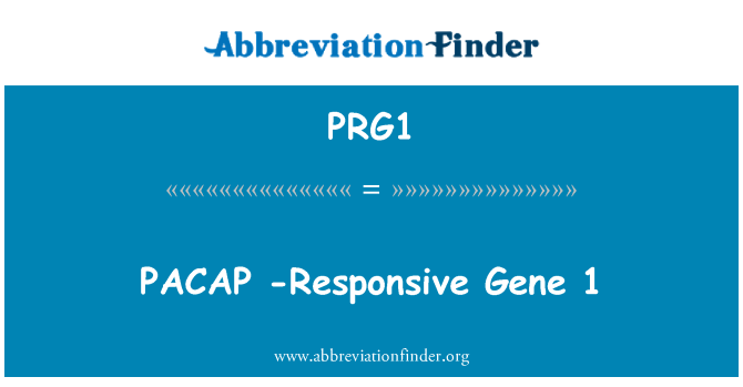 PRG1: PACAP-応答性遺伝子 1
