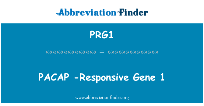PRG1: PACAP-gen sensible 1