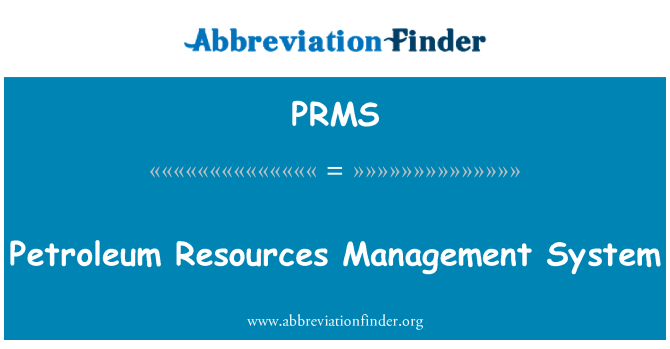 PRMS: 石油資源管理システム