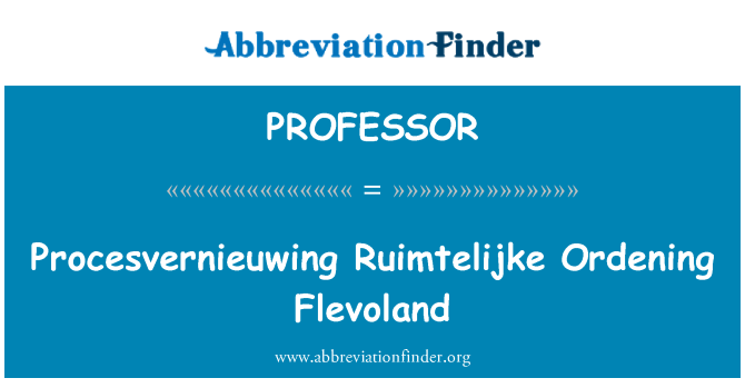 PROFESSOR: Procesvernieuwing Ruimtelijke Ordening Flevoland
