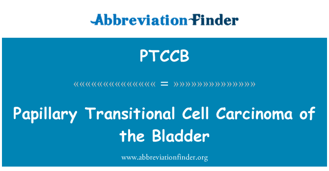 PTCCB: Carcinome papillaire de type transitionnel de la vessie