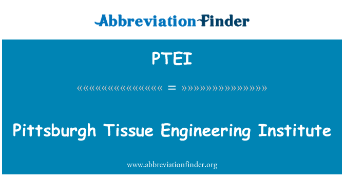 PTEI: Питсбърг тъкан Инженеринг институт