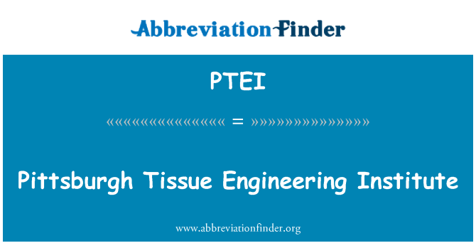 PTEI: 匹兹堡组织工程研究所