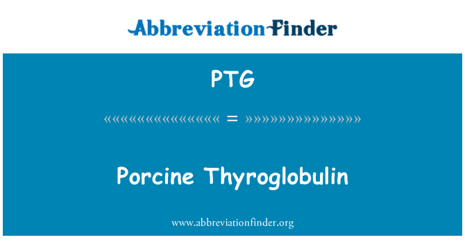 PTG: Thyroglobulin tal-majjali