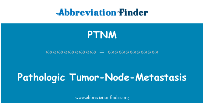 PTNM: 病理肿瘤淋巴结