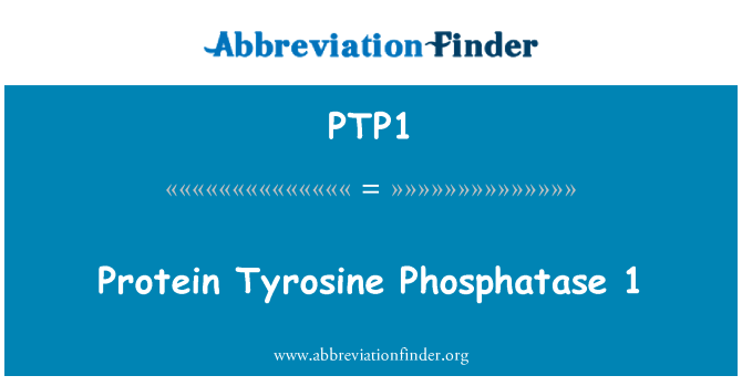 PTP1: Phosphatase Tyrosine protéines 1