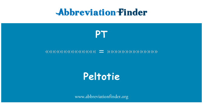 PT: Peltotie