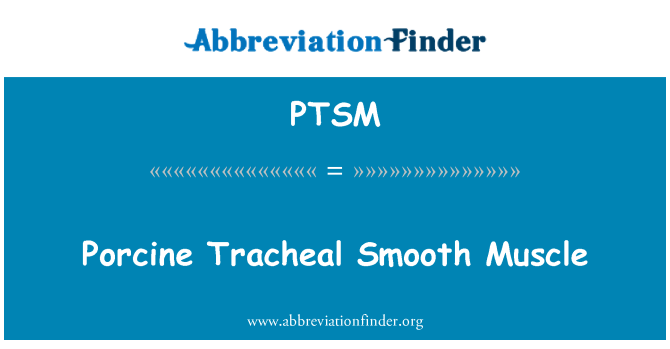 PTSM: Porcino muscolo liscio tracheale