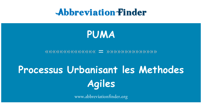 PUMA: Les processus Urbanisant Methodes Agiles