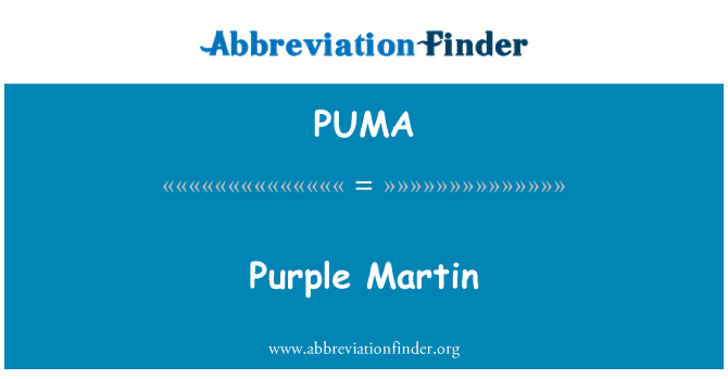 Alcanzar Torpe Desear PUMA Definition: Purple Martin | Abbreviation Finder