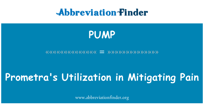 PUMP: ของ Prometra ใช้ประโยชน์ในการบรรเทาอาการปวด