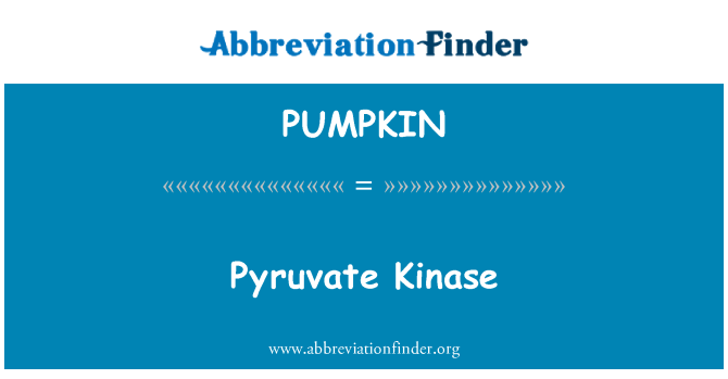 PUMPKIN: Piruvat quinasa
