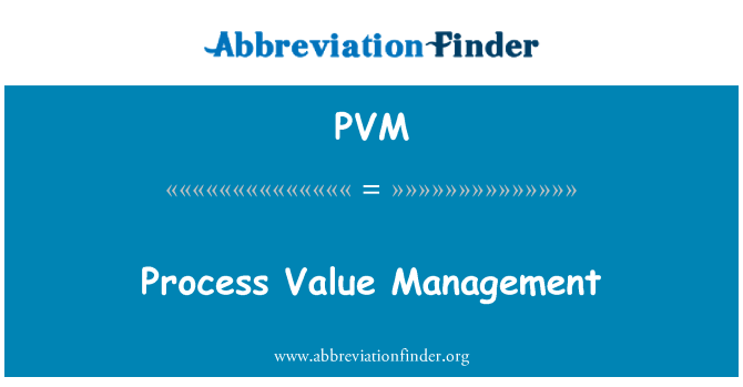 PVM: Process Value Management
