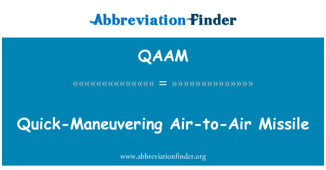 QAAM: Quick-Maneuvering Air-to-Air Missile