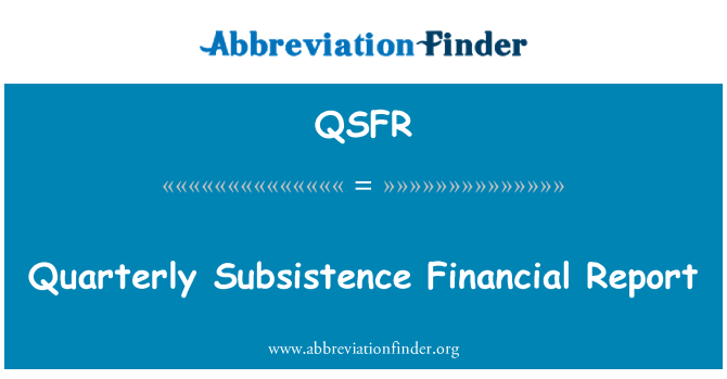 QSFR: 季度生活财务报告
