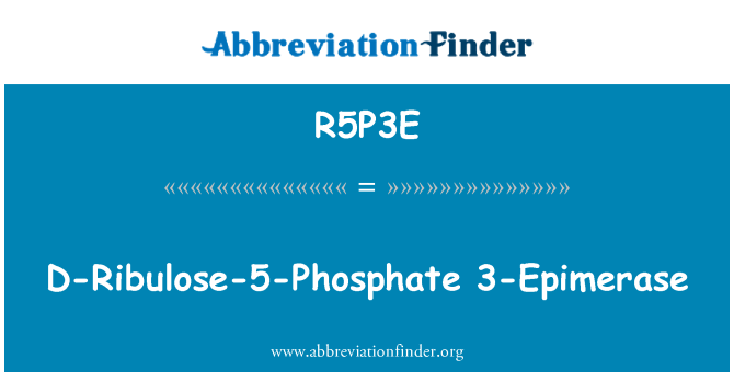 R5P3E: D-Ribuloosi-5-fosfaatti 3-Epimerase