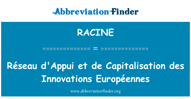 RACINE: Réseau d ' Appui et de Kapitalisierung des Innovationen Européennes