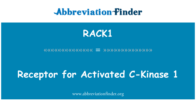 RACK1: Receptor-1. C-kináz aktivált.