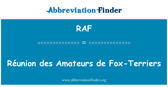 RAF: De la réunion des Amateurs Fox-Terriers