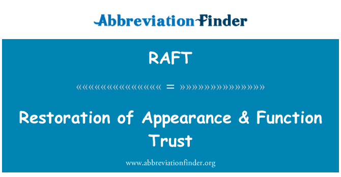 RAFT: 恢复的外观 & 函数的信任