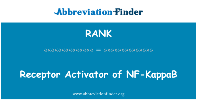 RANK: Récepteurs Activator de NF-KappaB