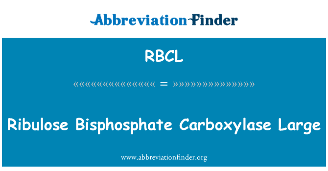 RBCL: Ribuloz Bisphosphate Carboxylase büyük