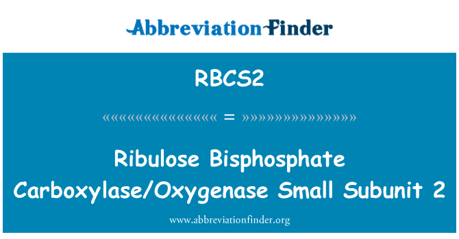 RBCS2: Ribulose Oxygenase و Carboxylase بیس فسفات کوچک زير واحد 2