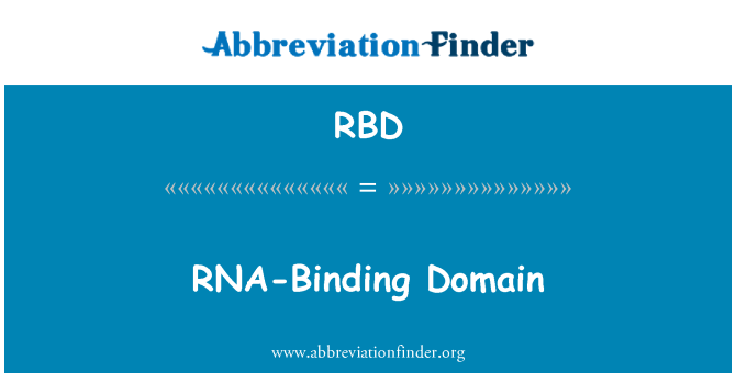 RBD: RNA-bindende Domäne
