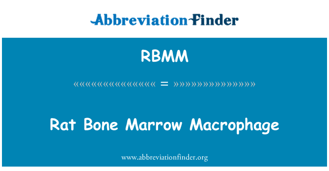 RBMM: Rata macròfag de medul·la òssia