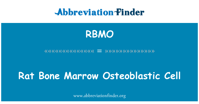 RBMO: Potkan kostnej drene Osteoblastic buniek