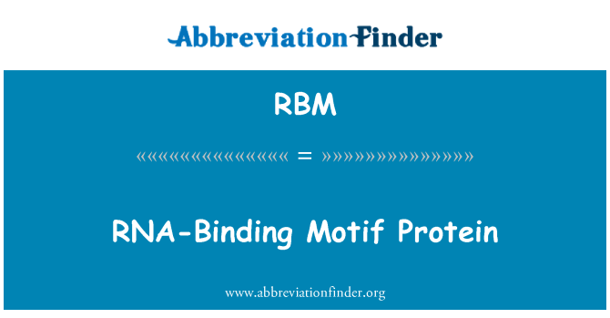 RBM: RNA-proteina Motif