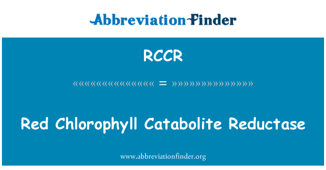 RCCR: Klorofil merah Catabolite Reductase