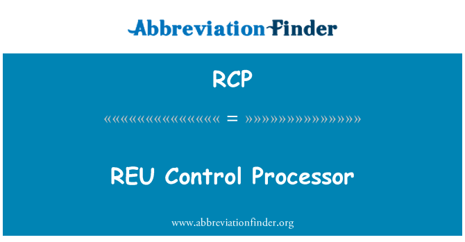 RCP: REU kontrol Processor