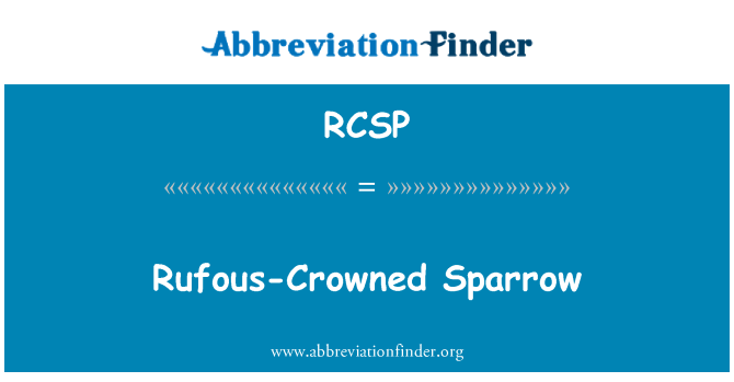 RCSP: Couronné rufous Sparrow
