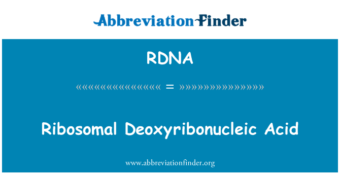 RDNA: Ribosomal Deoxyribonucleic Acid