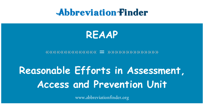 REAAP: Reasonable Efforts in Assessment, Access and Prevention Unit