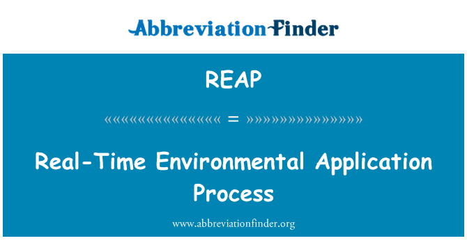 REAP: Real-Time Environmental Application Process