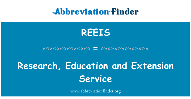 REEIS: 연구, 교육 및 연장 서비스